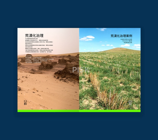 蒙草画册设计-宣传册设计制作